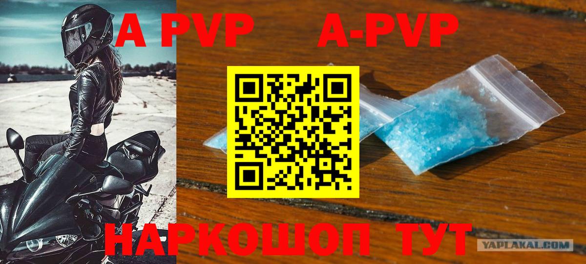 Альфа ПВП СК КРИС  Вход с VPN  A PVP СК КРИС  A-PVP крисы CK  Балашов 