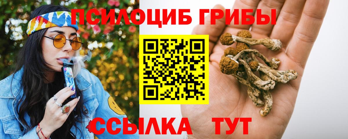 где купить   Псилоцибиновые грибы MAGIC MUSHROOMS  Галлюциногенные грибы мухоморы  Вход с VPN  Балашов 
